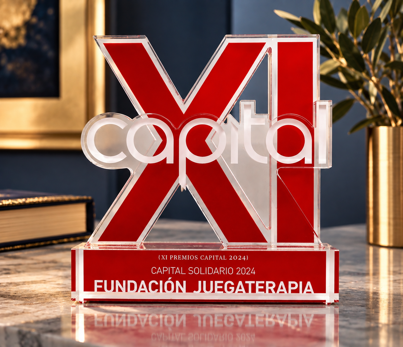 Capital Solidario 